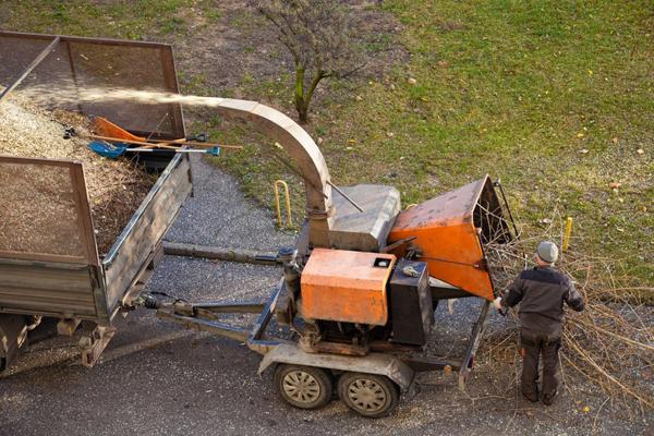 Machine de déchiquetage pour branches et troncs