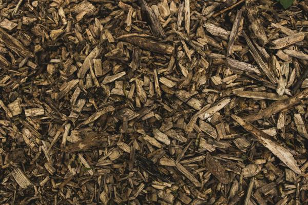 Des copeaux de bois frais après un nettoyage.